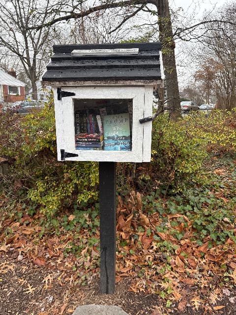 N Oak and Lincoln library image