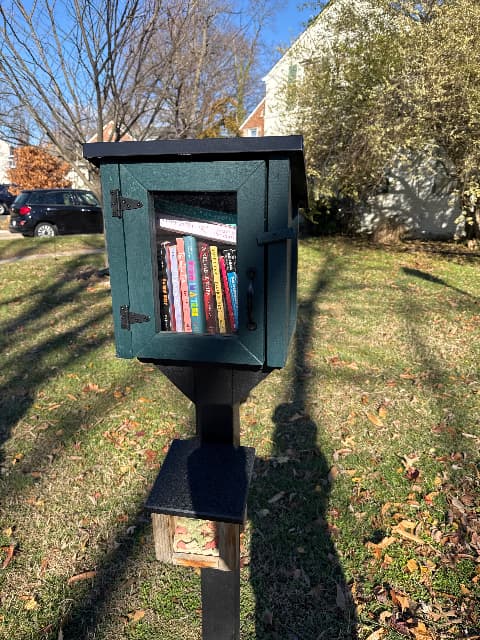 11th St N & Lexington library image