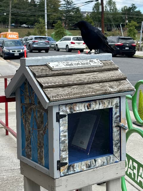 AFAC Little Free Library library image