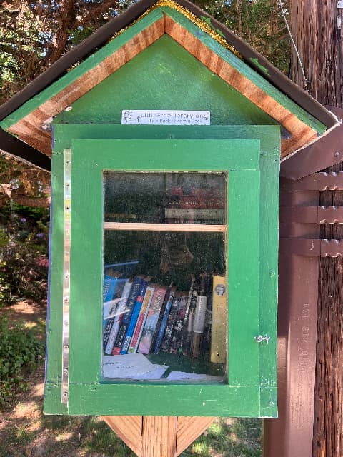 little greenie library image