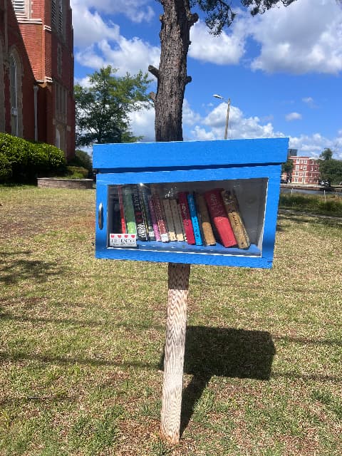 blue garden library image